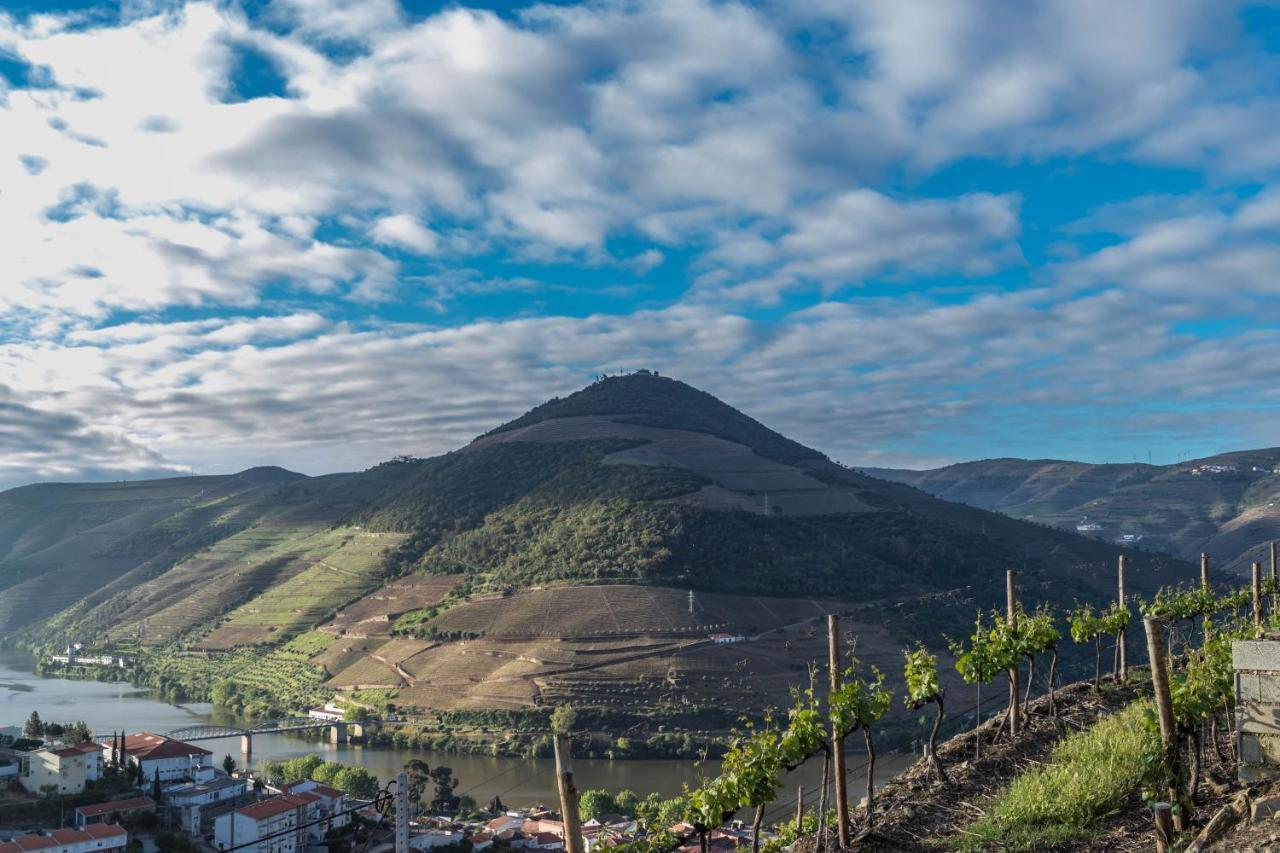 Dois Lagares House Bed and Breakfast Pinhão Εξωτερικό φωτογραφία