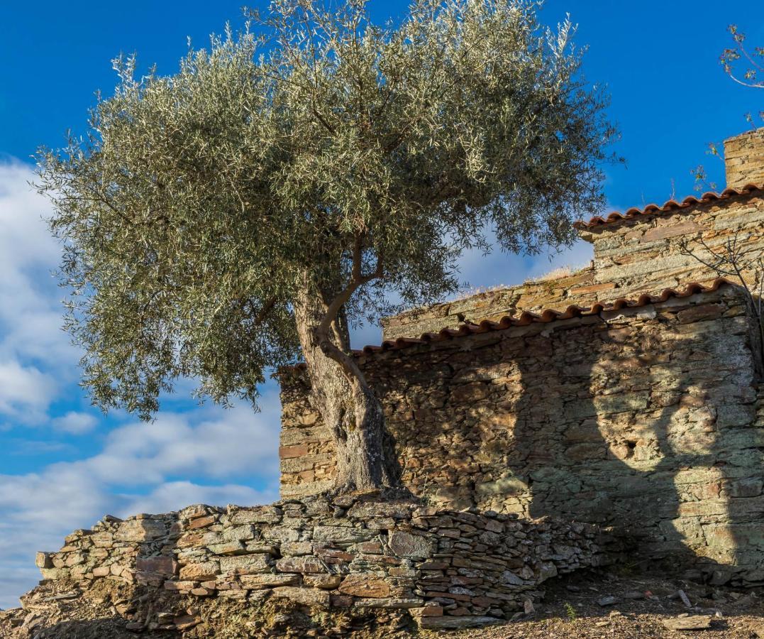 Dois Lagares House Bed and Breakfast Pinhão Εξωτερικό φωτογραφία